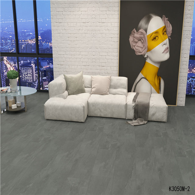 Slate Vinyl Flooring｜Piedra ｜Nord 02
